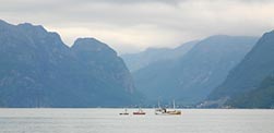 fishing and fjords